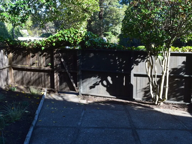 170 Miller Ave #7 — Photo 14