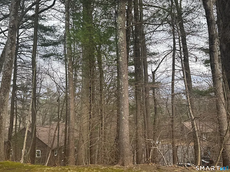 239 Old Farms Rd #5C — Photo 12