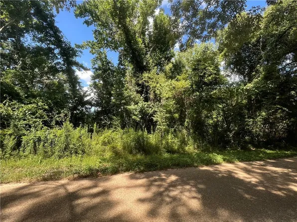 129 Hl Newton Rd, Dry Prong, LA 71423