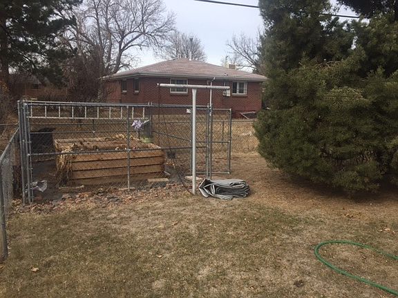 Backyard2