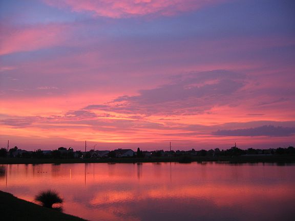 View from back yard 2