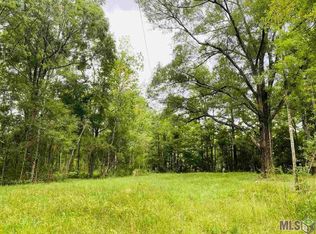 15198 Springfield Rd, Walker, LA 70785