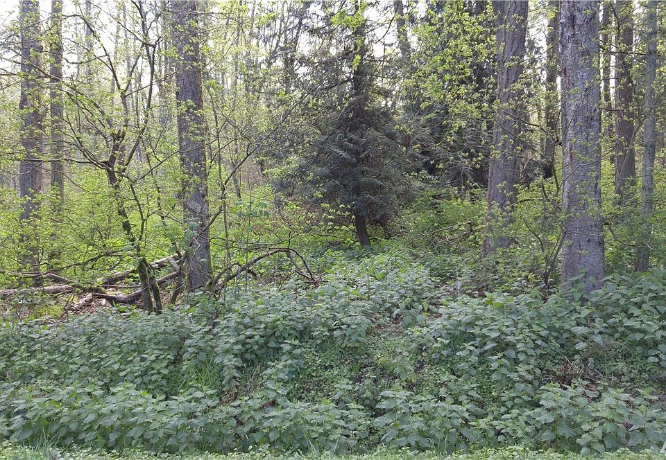 1st image of 0 Semiahmoo Drive