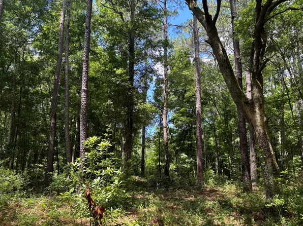 O'Seewee Rd, Awendaw, SC 29429