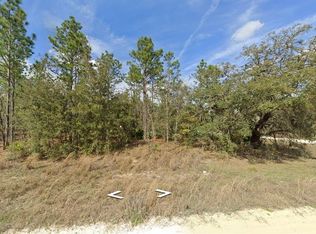 SW 134th Ave LOT 2, Dunnellon, FL 34432