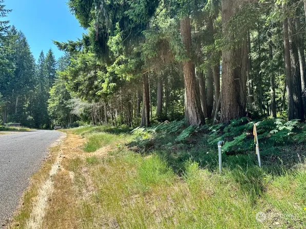 10220 10224 Totem Way, Anderson Island, WA 98303