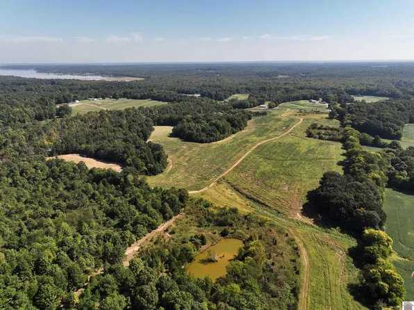 0 Brownie Rd, Dexter, KY 42036