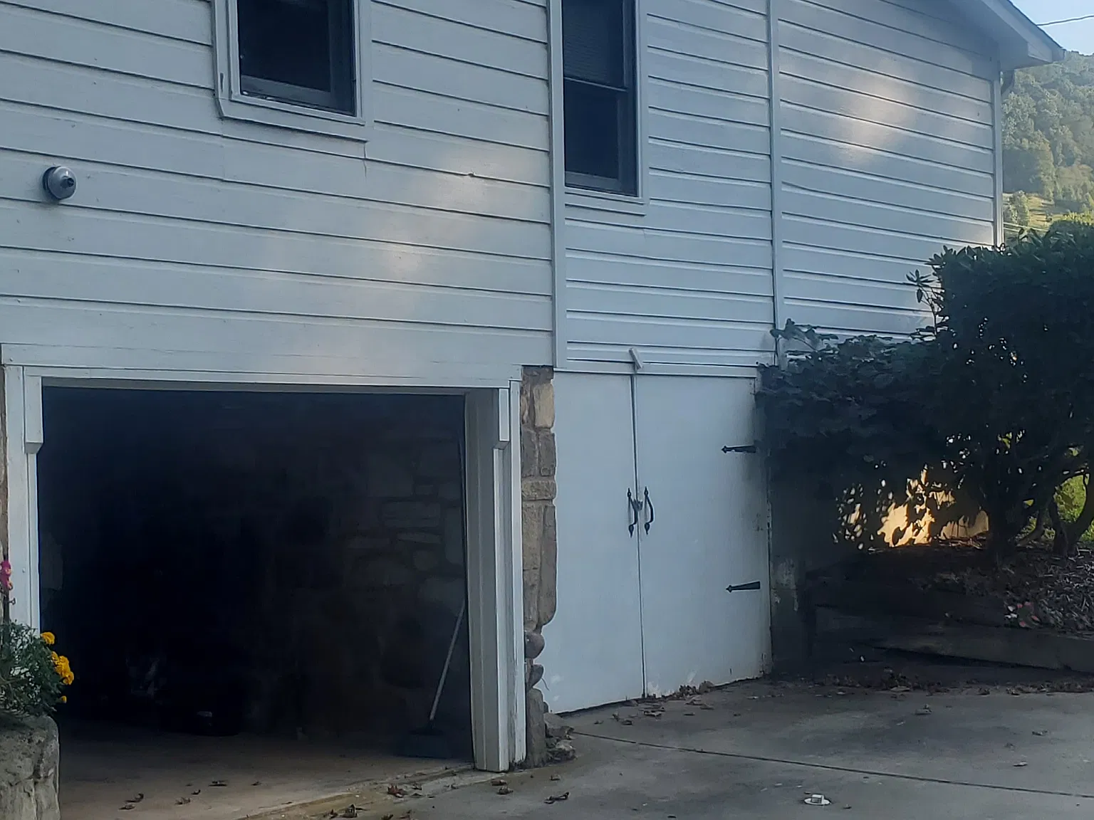 1 bed, $1,000 — Photo 2