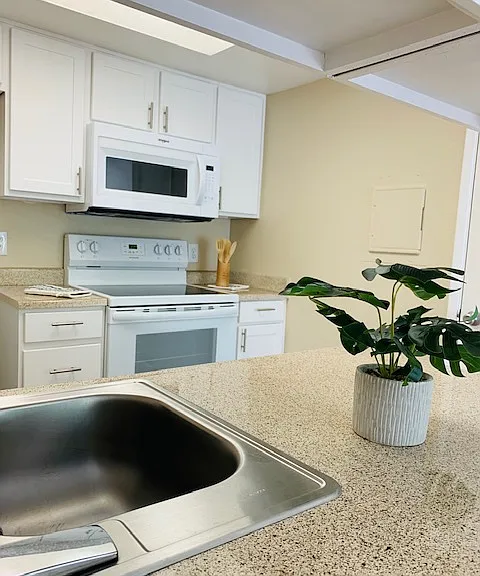 Desert Springs Apartments — Photo 20