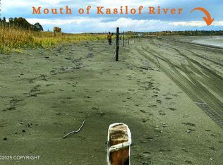 L5a Coastline St, Kasilof, AK 99610