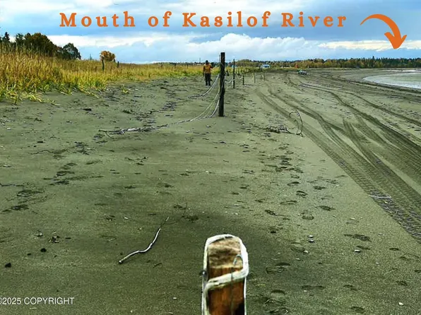 L5a Coastline St, Kasilof, AK 99610