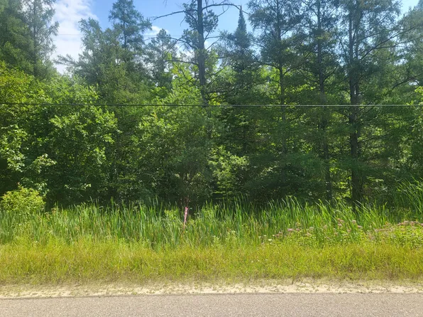 Eagle Point Rd, Grayling, MI 49738