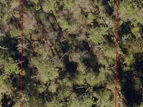 0 Hibiscus St, Fountain, FL 32438