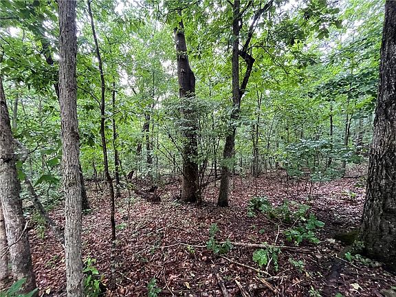 4th image of 28 N Moors Ln #28