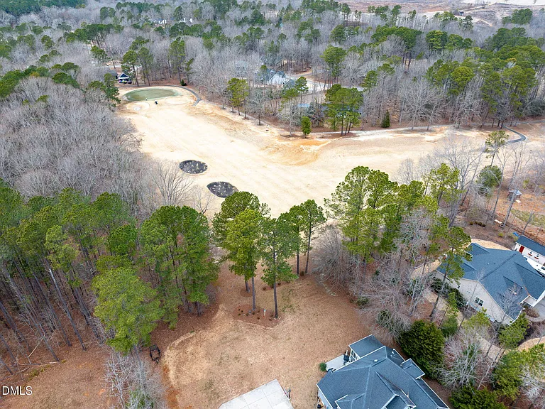 133 Black Cloud Dr — Photo 59
