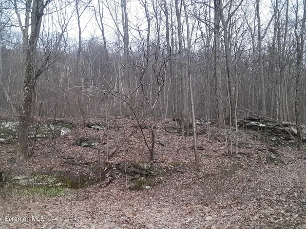 2469 Bald Mountain Rd, Clarks Summit, PA 18411