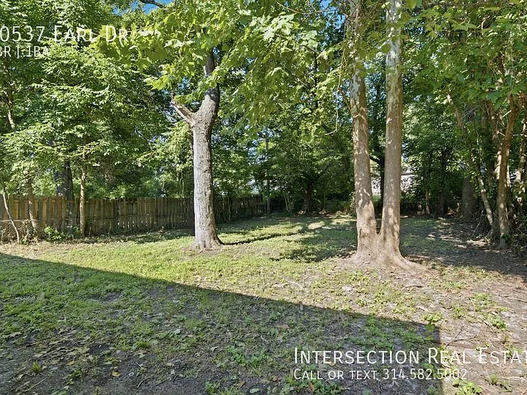 10537 Earl Dr — Photo 22
