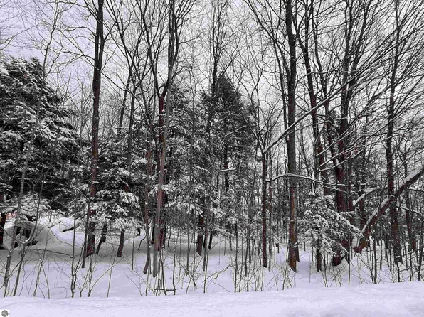 Staceywood Cir, Bellaire, MI 49615