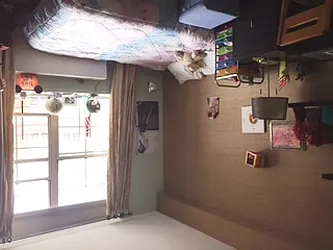 Rented by Citi Habitats