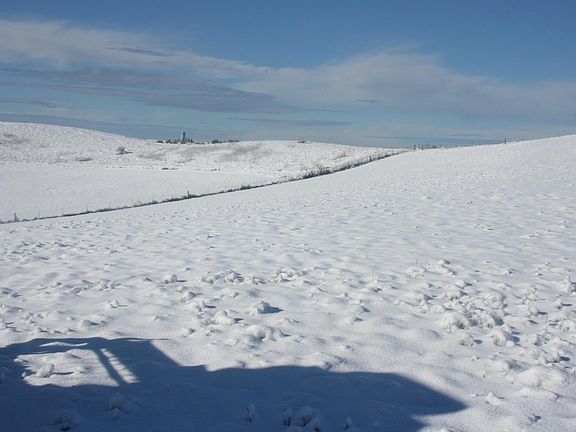 2nd image of 1283 Kitzmiller Rd