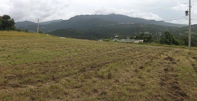 2nd image of Mirador De Palmer #30