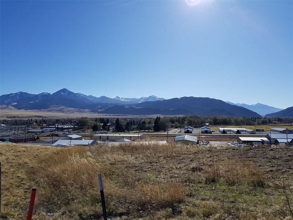 1st image of Molly Dr