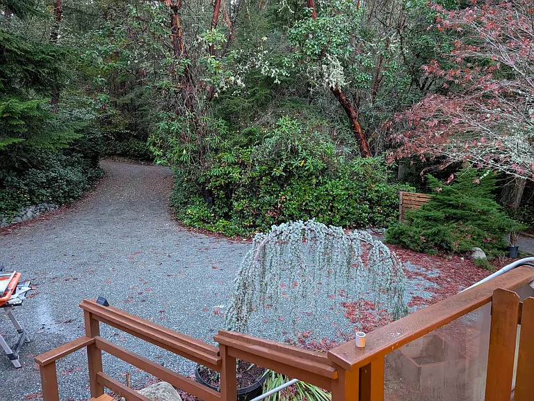Driveway and parking area showing the wooded area the home is in.