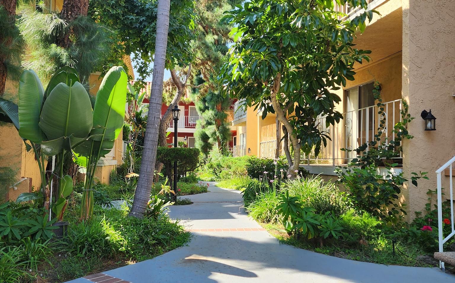 11637 Bellflower Blvd 206, Downey, CA 90241 Zillow