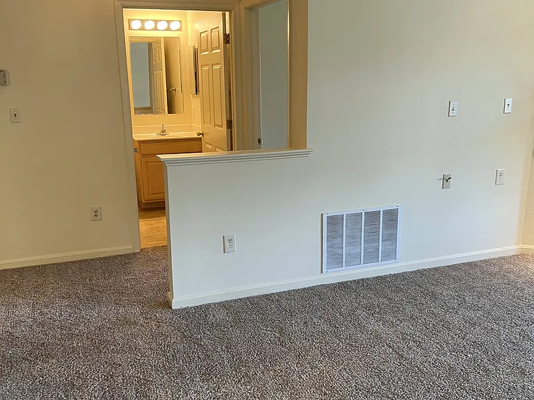 439 Hopkins Landing Dr — Photo 12