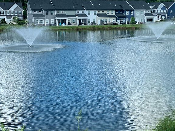 Pond View #2