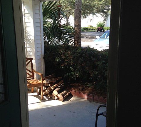 5th image of 105 E Island Square Dr