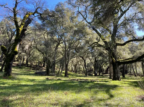 10 Garzas Trl, Carmel, CA 93923