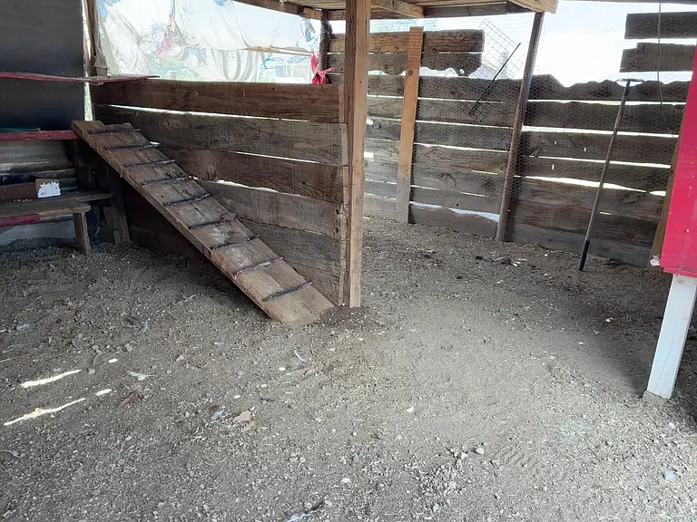 Chicken coop and run, move-in ready for your flock!