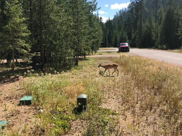 L25 Tracy Ln, Priest River, ID 83856