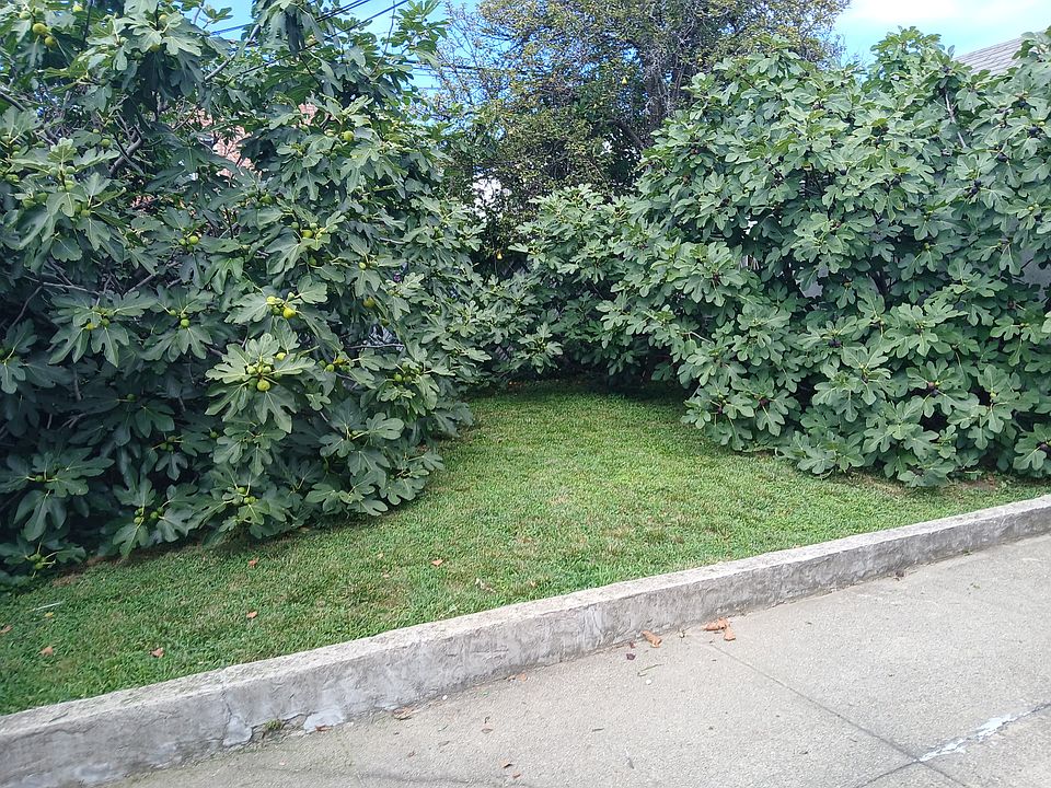 2nd image of 160 Street