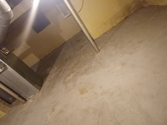 3rd image of 2126 Robinwood Ave
