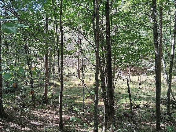 5th image of 16 W Rapids Rd