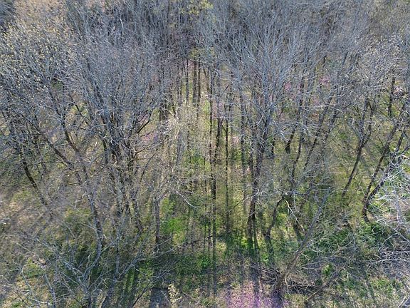 5th image of 0 Wilson Cir Lot 105