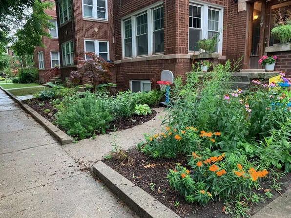 4207 N Bell Ave #1, Chicago, IL 60618