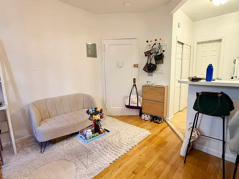 534 E 83rd St #2A — Photo 3