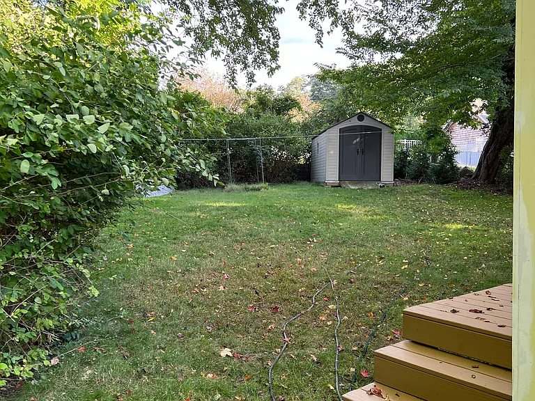 Back yard