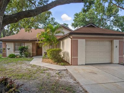 11338 Blackbark Dr, Riverview, FL, 33579