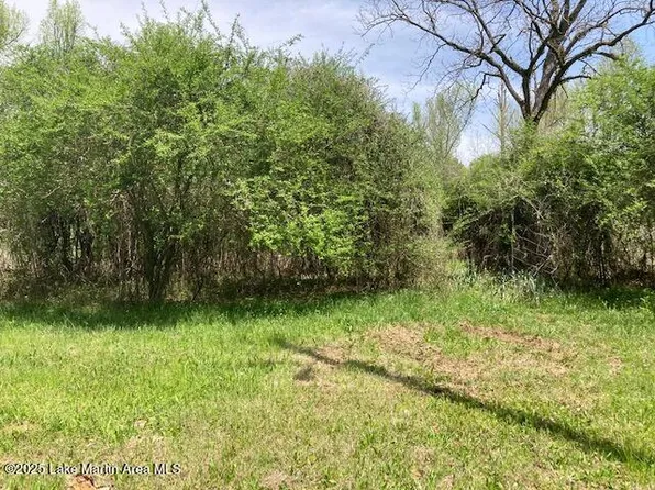 0 Maplewood Lane Ext, Alexander City, AL 35010