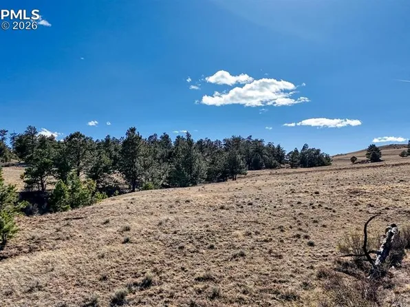 L5090l5097 Arikara Trl, Hartsel, CO 80449