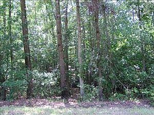 2nd image of 345 Shivers Green Rd