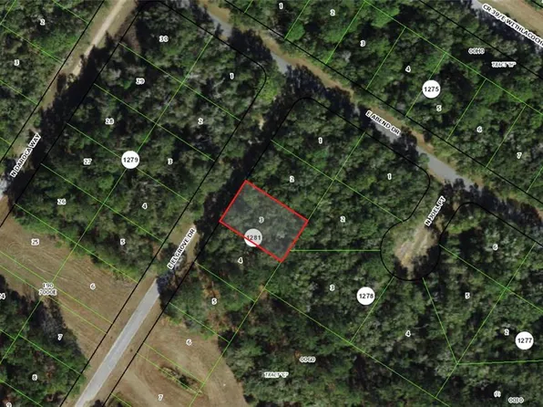 762 E Elgrove Dr, Citrus Springs, FL 34434