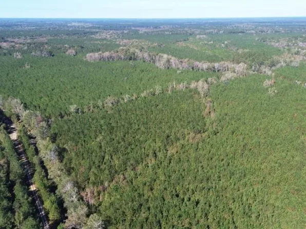 Oak Bottom Trl, Ravenel, SC 29470