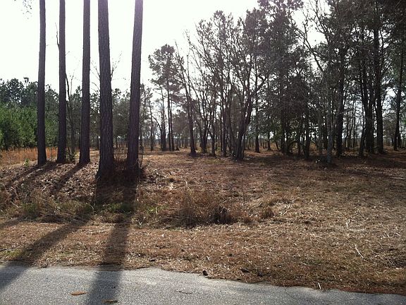 5th image of 910 Lexington Dr