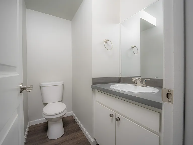 Experience the elegance of contemporary bathroom design with sophisticated fixtures and minimalist style.