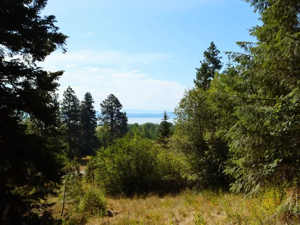 5 Tamarack Falls Rd, Donnelly, ID 83615